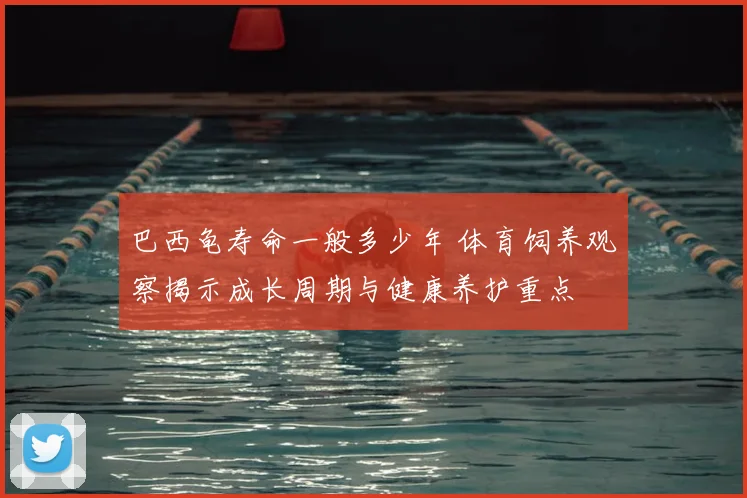 巴西龟寿命一般多少年 体育饲养观察揭示成长周期与健康养护重点