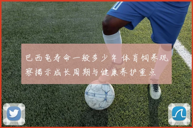 巴西龟寿命一般多少年 体育饲养观察揭示成长周期与健康养护重点