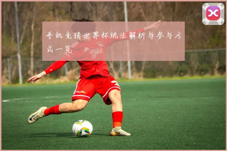 手机竞猜世界杯玩法解析与参与方式一览