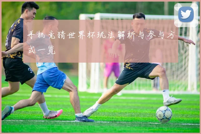 手机竞猜世界杯玩法解析与参与方式一览