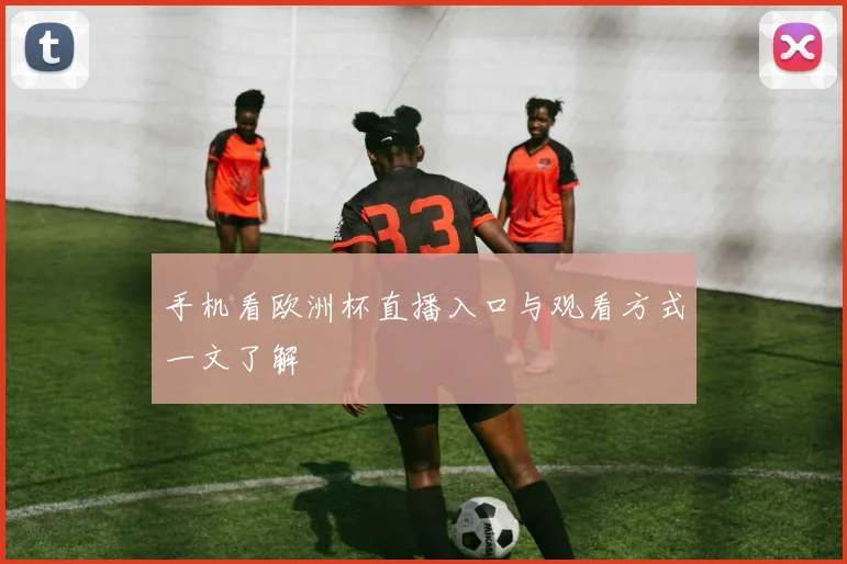 手机看欧洲杯直播入口与观看方式一文了解